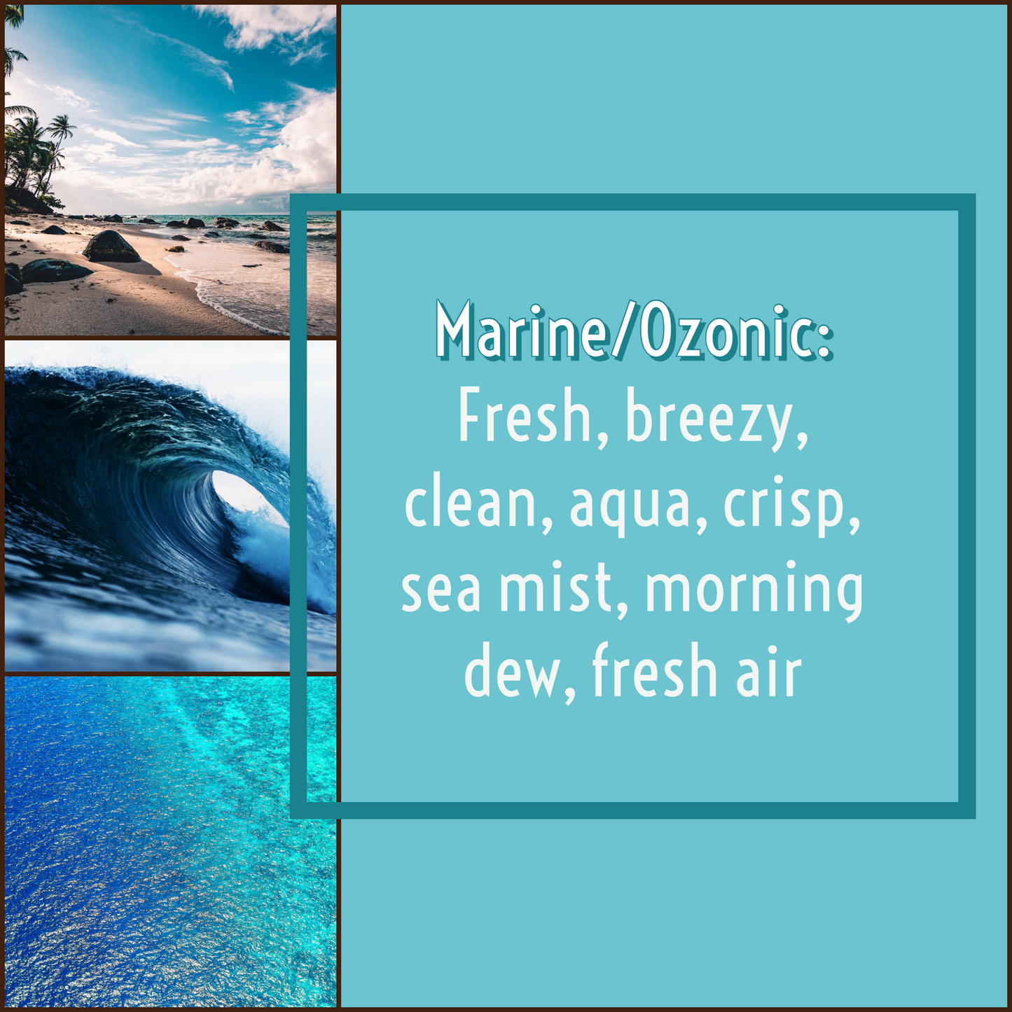 MOOD: Marine/Ozonic
